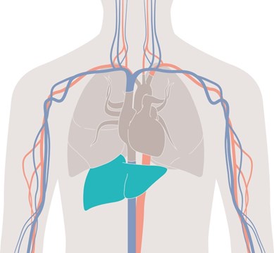 Sistemi za hemodinamski monitoring