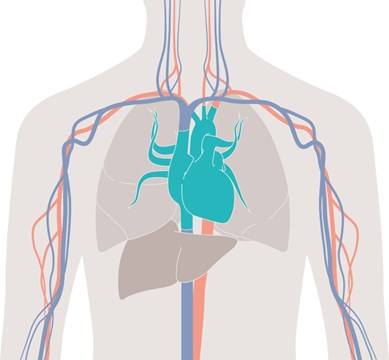 Sistemi za hemodinamski monitoring